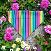 BERTS BOWS Happy Stripe Bandana image