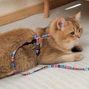 M-PETS Urbanstyle Jazz Stripes Cat Harness &amp;amp; Lead image