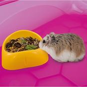 IMAC Mini Plastic Bowl for Small Animals, 9x3cm