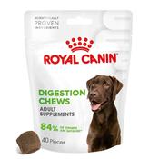 ROYAL CANIN Digestion Supplement for Adult Dog image
