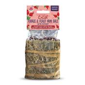 BURGESS EXCEL Forage &amp;amp; Feast Mini Bales with Rosehip