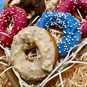 LIFE OF RILEY Doggy Donut image