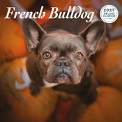 French Bulldog Deluxe Calendar 2027