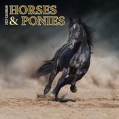 Horses &amp; Ponies Calendar 2027