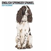 English Springer Modern Wall Calendar 2027