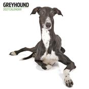 Greyhound Modern Wall Calendar 2027 image