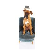 Boxer Slim Wall Calendar 2027 image