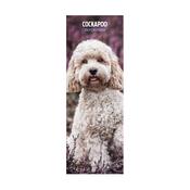 Cockapoo Slim Wall Calendar 2027