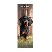 Dachshund Slim Wall Calendar 2027