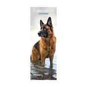 German Shepherd Slim Wall Calendar 2027