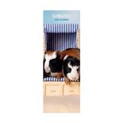 Guinea Pig Slim Wall Calendar 2027 image