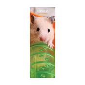Hamsters Slim Wall Calendar 2027