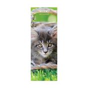 Kittens Slim Wall Calendar 2027