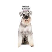 Miniature Schnauzer Slim Wall Calendar 2027