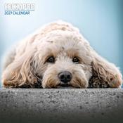 Cockapoo Traditional Wall Calendar 2027