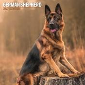 German Shepherd Traditional Wall Calendar 2027