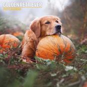 Golden Retriever Traditional Wall Calendar 2027