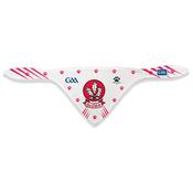 GAA Official Pet Bandana - Derry