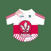 GAA Official Pet Jersey - Derry