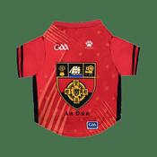 GAA Official Pet Jersey - Down