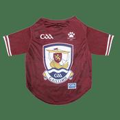GAA Official Pet Jersey - Galway