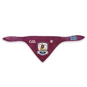 GAA Official Pet Bandana - Galway