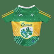 GAA Official Pet Jersey - Kerry
