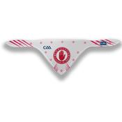 GAA Official Pet Bandana - Tyrone