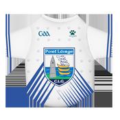 GAA Official Pet Jersey - Waterford