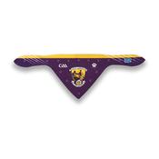 GAA Official Pet Bandana - Wexford