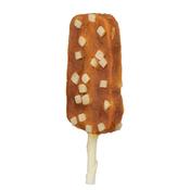 Denta Fun Ice Pop with Chicken &amp; Cheese