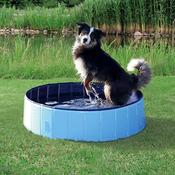 Dog Swimming Pool image