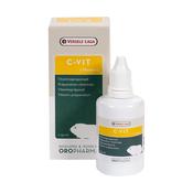 C-VIT for Guinea Pigs