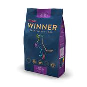 Winner - Adult High Energy image