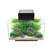 Fluval Edge 2.0 - 23 Litre Aquarium