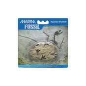Marina Decorative Fossil Footprints