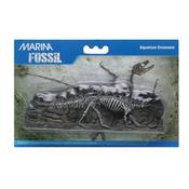 Marina Decorative Fossil Stegosaurus