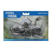 Marina Decorative Fossil Tyrannosaurus Rex 3 Pieces