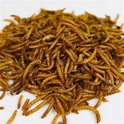 Dried Mealworms For Wild Birds 2.5L