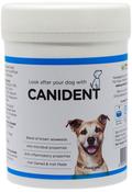 Pure Vet Canident