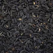 Wild Bird - Black Sunflower 12.5kg image