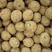 Bird Song - Fat Balls Without Nets Eco Box 50pk