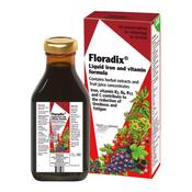 Salus Haus Floradix Liquid 500ml image