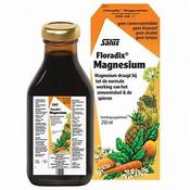 Salus Haus Floradix Magnesium 250ml