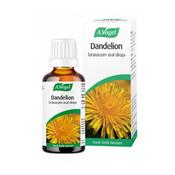 A Vogel Dandelion Taraxacum 50ml image
