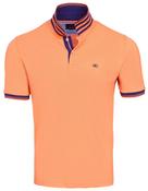 Andre Polo Shirt Blarney Mango image