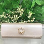Emis T20 7995 Clutch Bag-Champagne