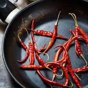 Mexican Chilies Workshop
