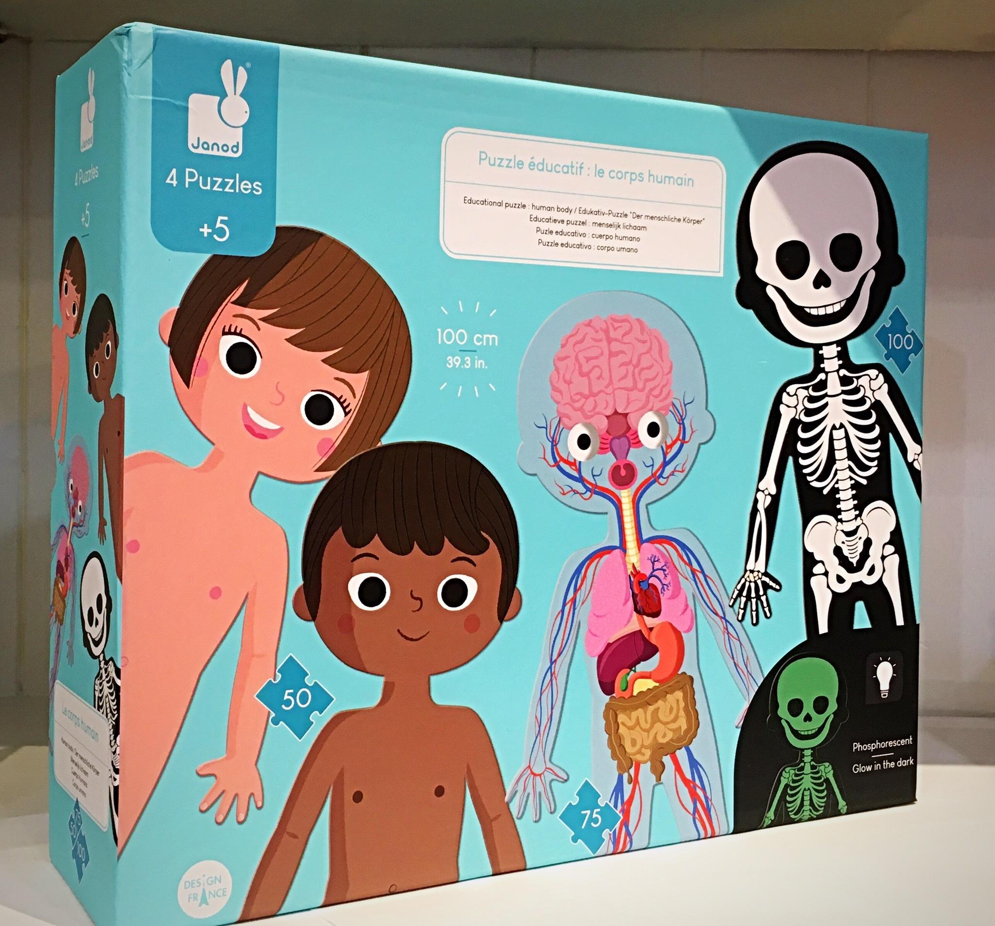 Janod Human Body Educational Puzzle Set of 4 with Glow in the Dark Parts