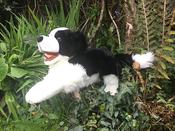 The Puppet Company Border Collie Dog Puppet image